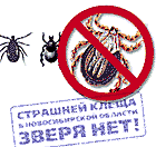 ����������� �� �����